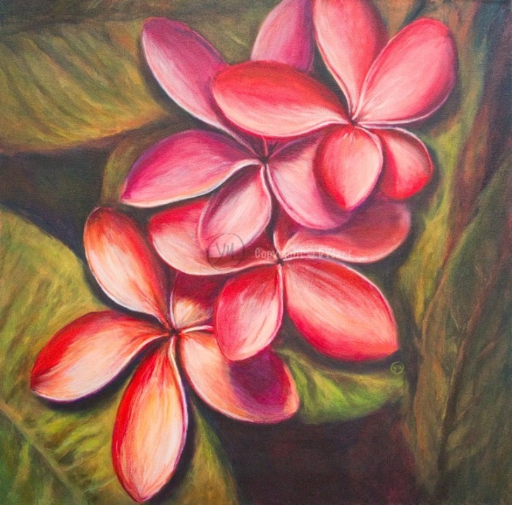 Shot with DXO ONE Camera