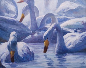 Shot with DXO ONE Camera