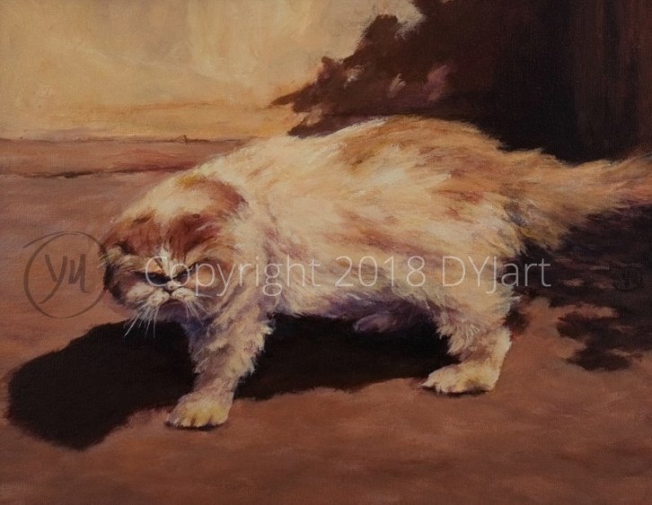 SunshinePopokiC90_cropLT_WEB